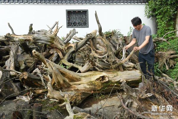 5月24日，徐惠东在位于下涯村的工作室选择木料进行创作。新华社记者 翁忻旸 摄