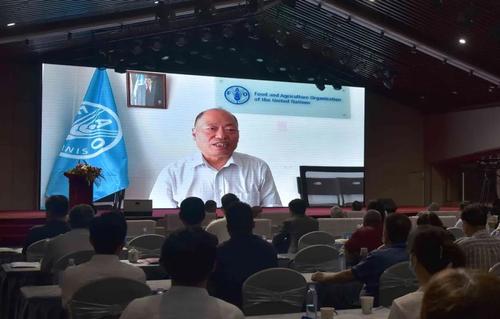 联合国粮农组织驻华助理代表张忠军通过视频致辞