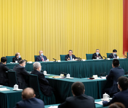 李强看望出席全国政协十四届一次会议委员并参加讨论