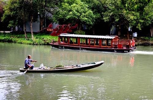 杭州西溪湿地：“天堂绿肺”最美底色(3184273)-20231026091729
