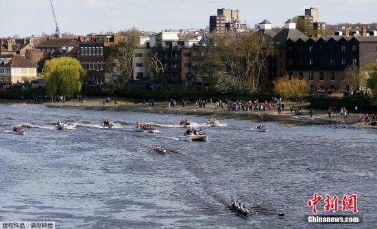 资料图：英国牛津和剑桥大学赛艇比赛进行中。